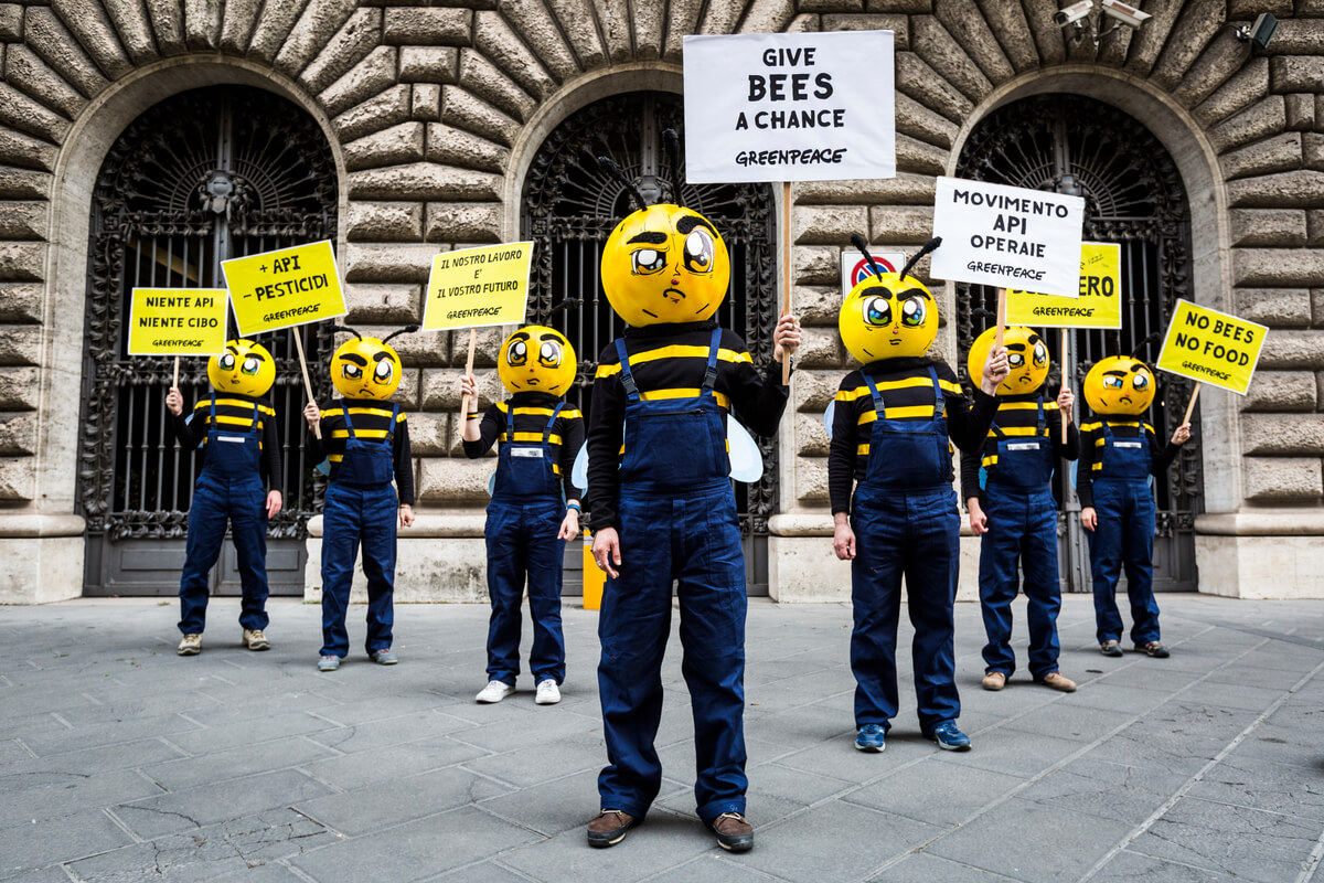 Sette attivisti di Greenpeace travestiti da api operaie di fronte al Ministero delle politiche agricole, a Roma, chiedono il bando totale dei pesticidi neonicotinoidi mostrando cartelli con scritto “Più api, meno pesticidi